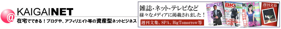 在宅でできる！ブログアフィリエイト等の資産型ネットビジネス講座：KaigaiNET
