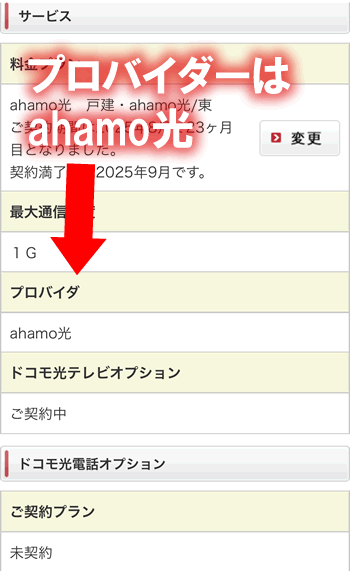 ahamo光のプロバイダー