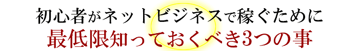 ネット上に資産を構築する事で、こんな風に収入を得る事が出来ています